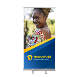 Roll-Up Standard