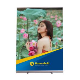 Roll-Up Plus